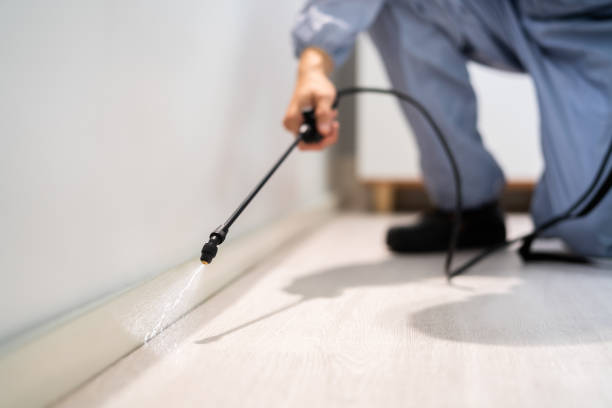 Best Affordable Pest Control Services  in Cadillac, MI