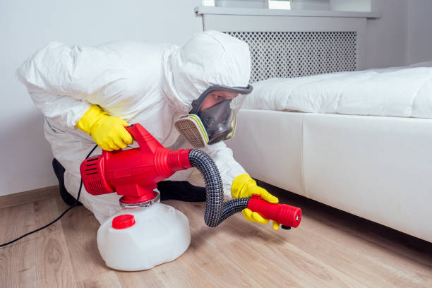 Best Flea Control Services  in Cadillac, MI