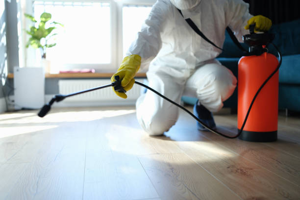 Best Pest Control Near Me  in Cadillac, MI