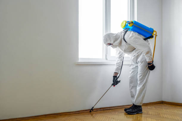 Best Ant Control Services  in Cadillac, MI
