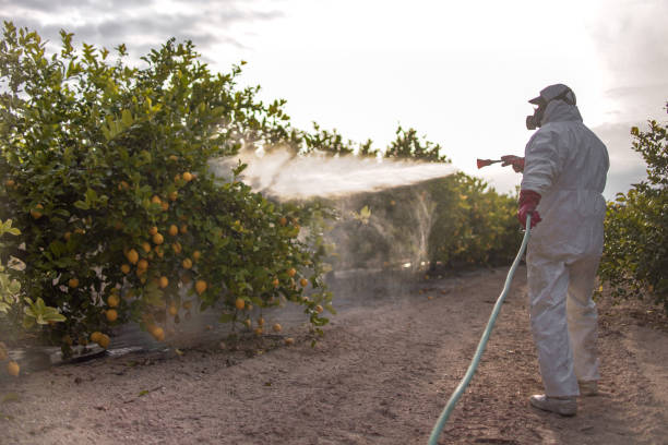 Best Residential Pest Control  in Cadillac, MI