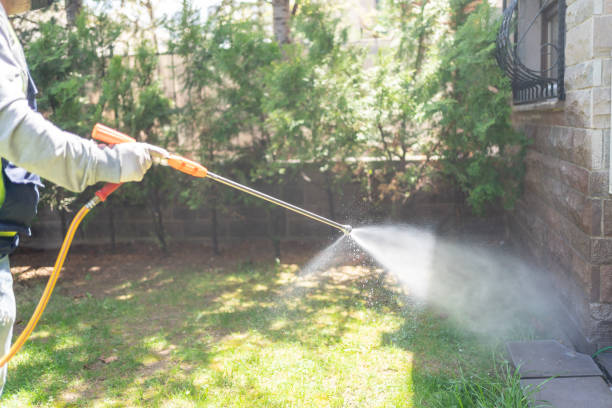 Best Best Pest Control Companies  in Cadillac, MI