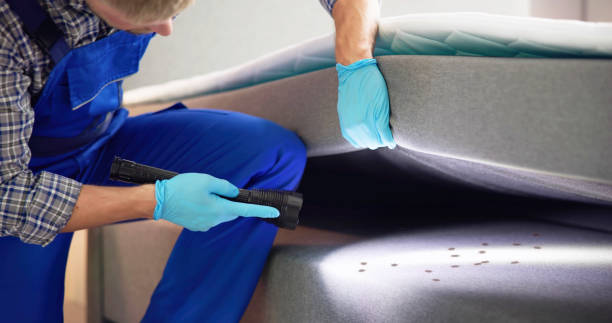 Best Mosquito Control Services  in Cadillac, MI