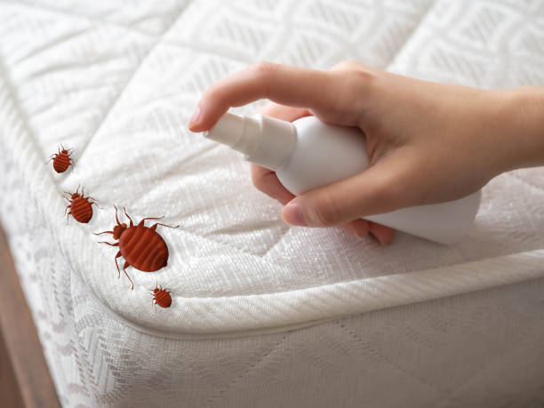 Best Pest Inspection Near Me  in Cadillac, MI
