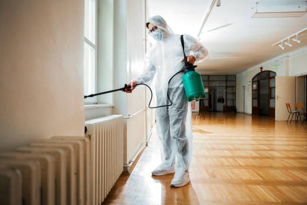 Best Termite Control Services  in Cadillac, MI