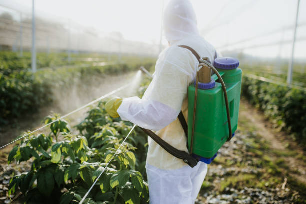 Best Wildlife Control Services  in Cadillac, MI